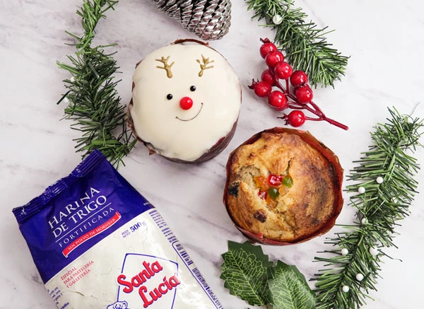 Panettone Tradicional